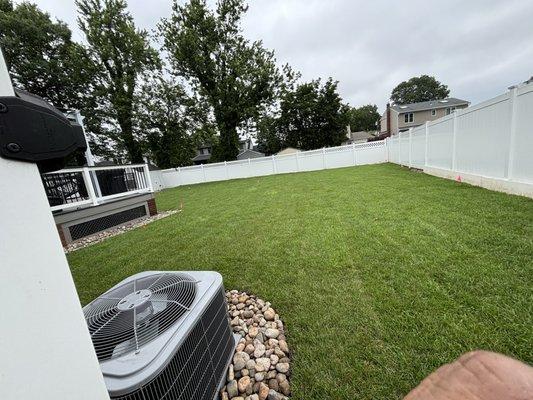 Sod installment backyard