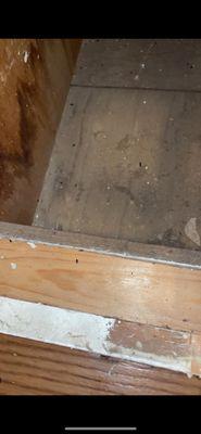 Cienega Village Apartments