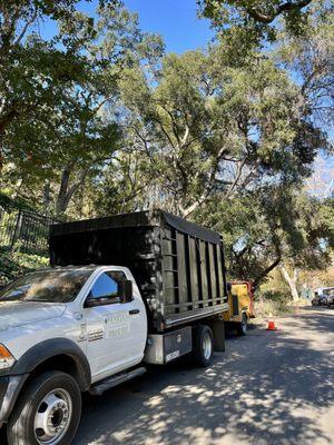 Reveles Tree Service
