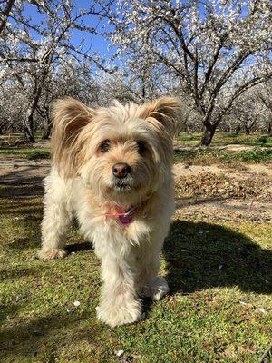 Veterinary Emergency Clinic