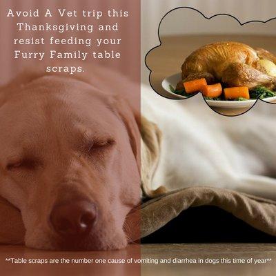 Anastasia Veterinary Practice