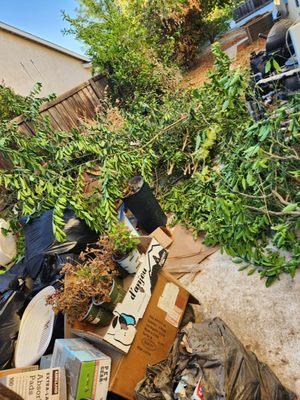 Luis Junk Removal and More