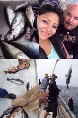 A must Tip if you have never done it, we saw a ton of dolphins too.