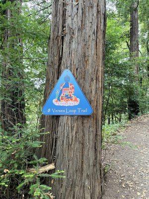 Land of Medicine Buddha