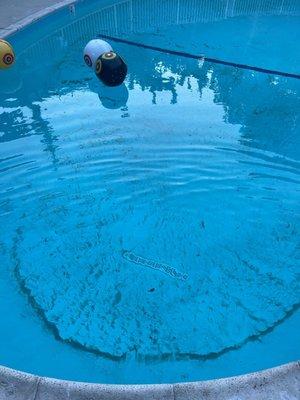 Marco Polo Pool & Spa.