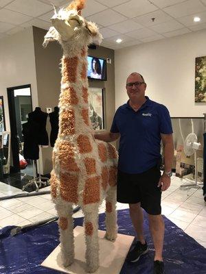 Desert Springs Chemdry