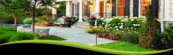 A+ Lawn Care & Landscaping, Inc