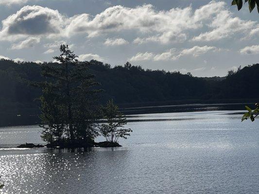Foster's Riverview Inn