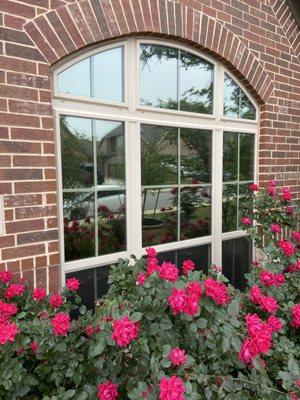 Solstice Glass Tinting