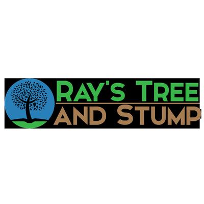 Ray's Tree and Stump