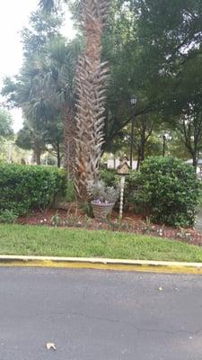 Adorable Birdhouse Near the Park and Gazebo