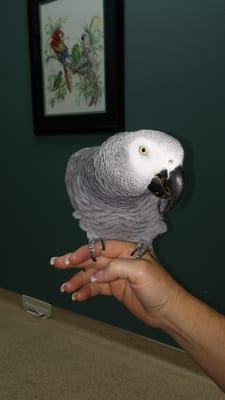 Max is here for a trim!