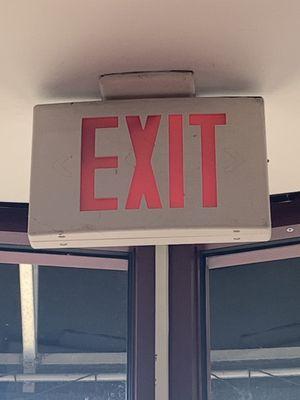 Gatorlillys of Lake Mary