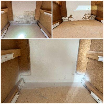 Safe Terra Solutions