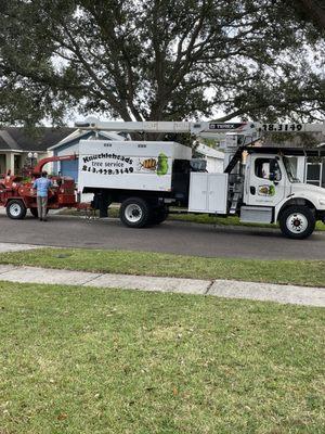 Knuckleheads Tree Service