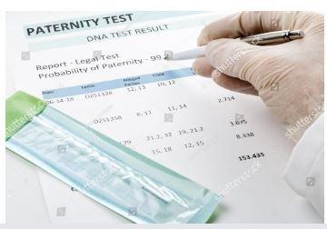 My Florida DNA and Paternity Testing