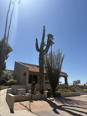 Royal Palms Golf Course