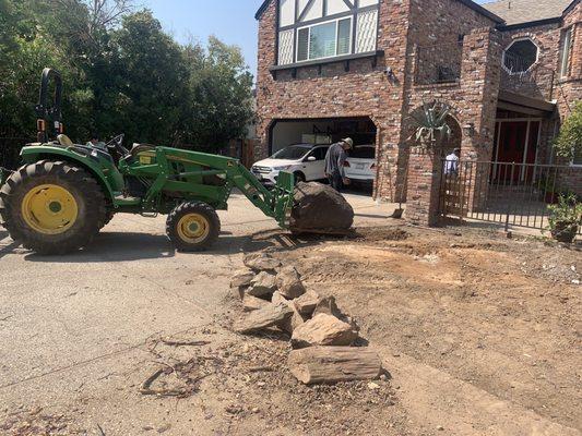 Natural Green Gardening