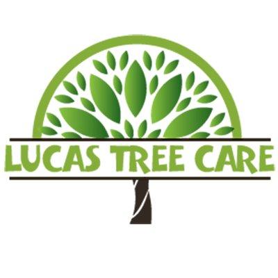Lucas Tree Care Experts
