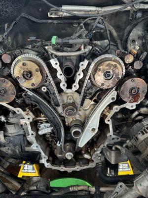 Full Timing Component Replacement