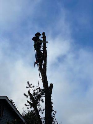 Good Feller Tree Care