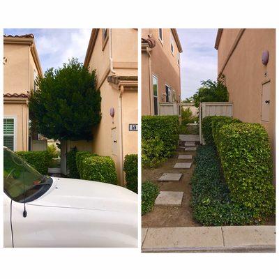 Nu Image Landscaping