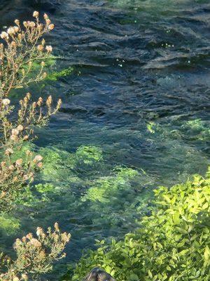 Very cold water but very beautiful!