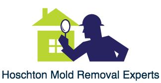 Hoschton Mold Removal Experts