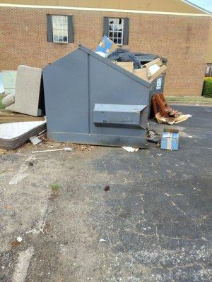 Trash around dumpsters and all over the buildings..dog feces.