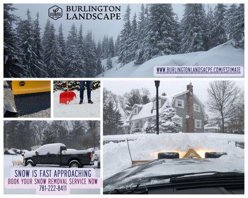 Burlington Landscape