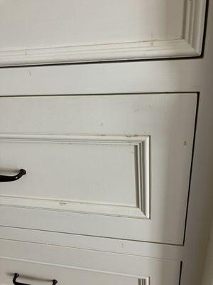 Queen of Clean Service