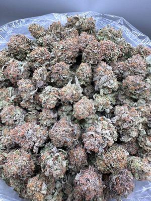 Adorable Teacup Maltese Puppies For sale