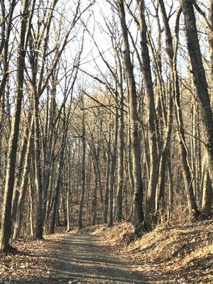 Betsy Bell Wilderness Park