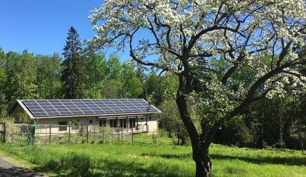 Greenify Energy Savers