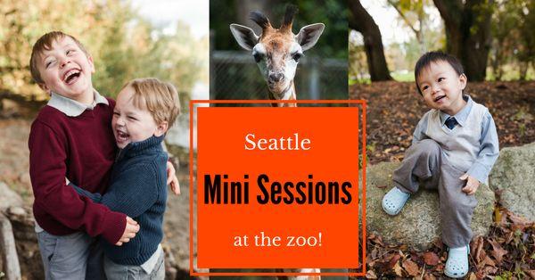 Tracie Howe Photography