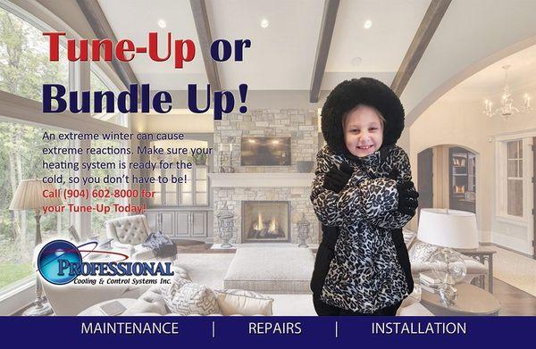 Professional Cooling & Control Systems