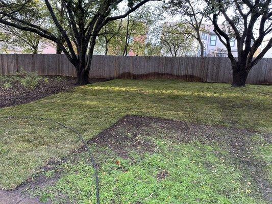 Timber Landscape and Design