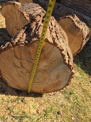 Tree Service and Landscaping Luis Rivera