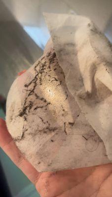 Tanlines of Spotswood