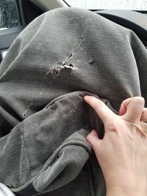 White House Cleaners