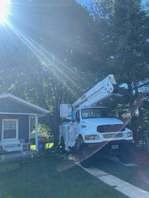 Watertown Forever Green Lawn Care & Property Maintenance