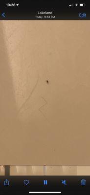 Residence Inn by Marriott Lakeland