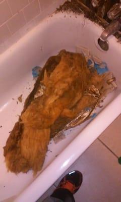 Willow Lakes of Arlington Apartments