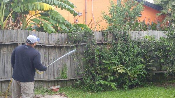 Great job by Ryan on pest control treatment for the house and backyard. Reasonable prices and prompt service.