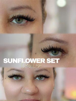 Ours Lash Beauty - Walnut