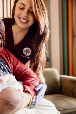 Tree Of Life Feeding