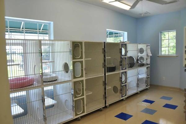 Forever Vets Pet Resort at Pacetti