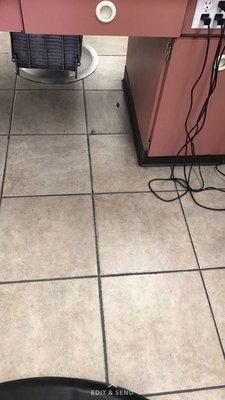 Royal Hair Institute