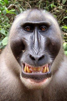 Landmark Middle School