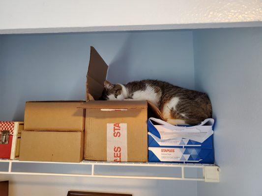 Bob's Quality Window Cleaning